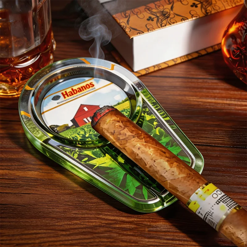 Cigar Ashtray Creative Printed Glass Single Slot Cigar Holder Ash Tray Desktop Ornament For Home Bar Club Smoking Accessory