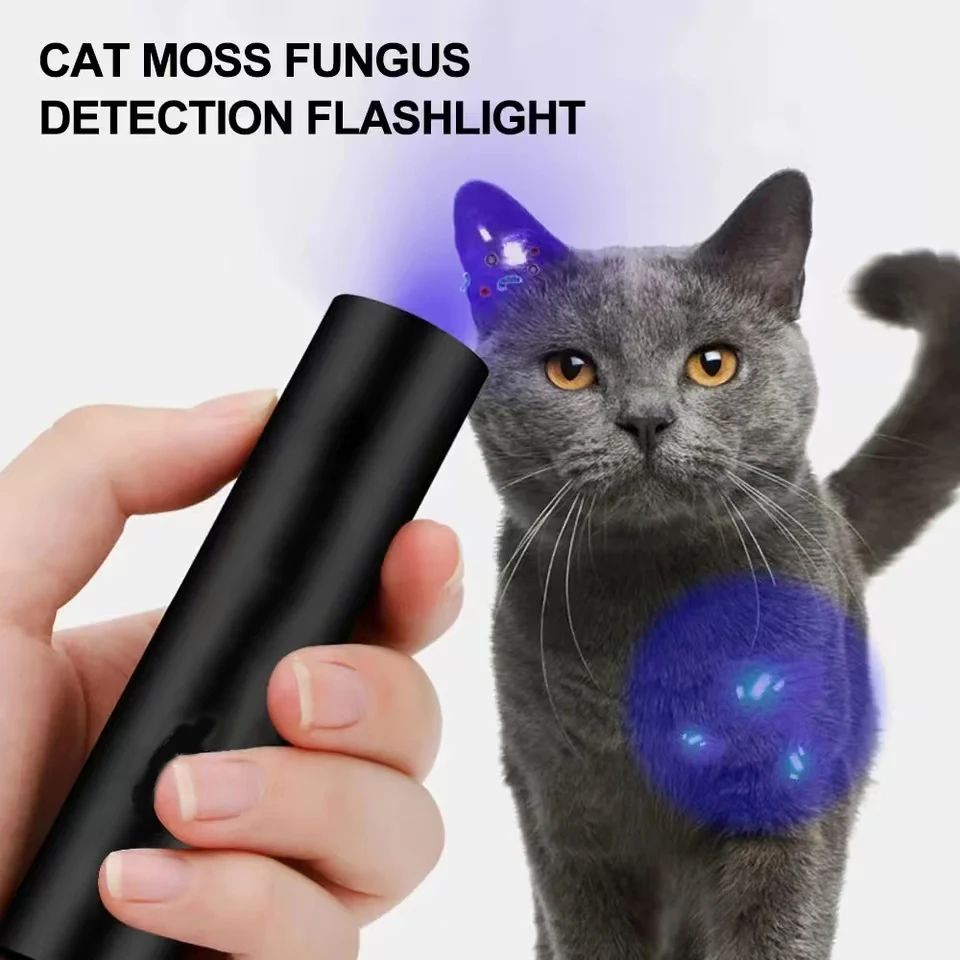 Uv Flashlight Led Strong High Power Led Flashlights Rechargeable Lamp Ultra Powerful Flashlight Battery Usb Very Mini Portable image 5