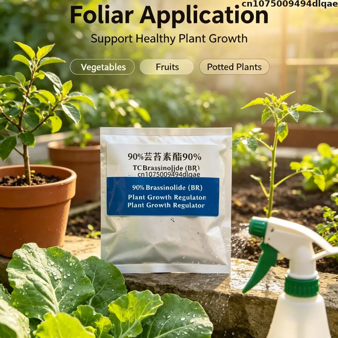 2026 New Arrival Mainland China None Organic Fertilizer Humic Acid Granular Organic Fertilizer