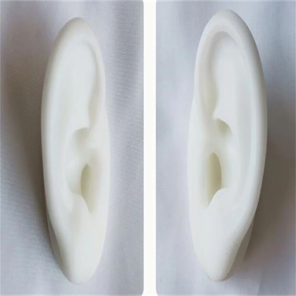 

Soft Silica Gel Real Person Ear Head Art Mannequin, Taking Headset, Medical Teaching, Display Props, 3style Color, C930, 6x4cm