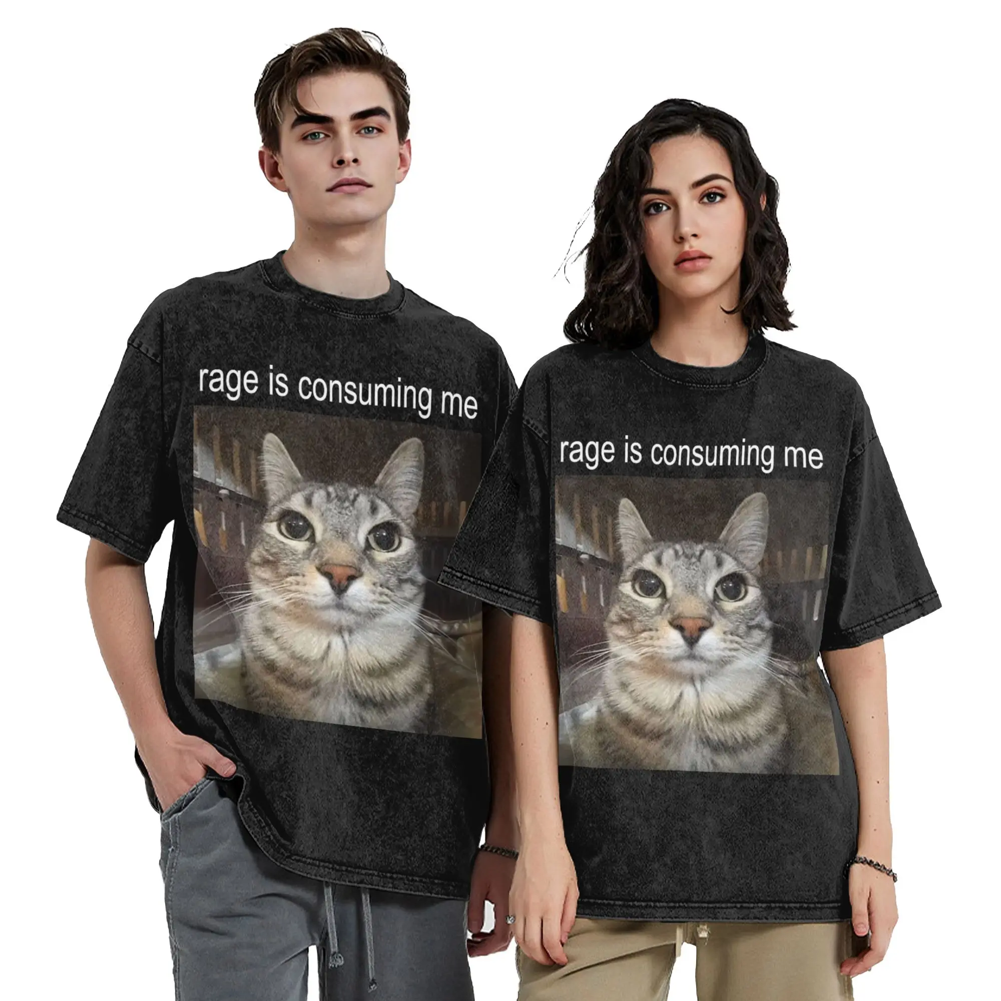 Rage is Consuming Me Silly Staring Cat Meme Washed T Shirt Streetwear  T-Shirt Tees Men Women Short Sleeve Oversize Printed