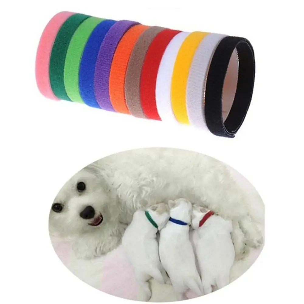 15PCS Colorful Nylon Velvet Puppy ID Collar Pet Supplies Identification ID Collars Whelp Kitten