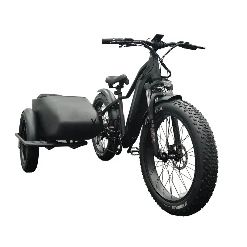 

Bike Side Car Adult Electric Tricycle Bicycle 3 Wheel Ebike Electric Cargo Trike 750w Hidden Lithium Battery Etrike Sidecar