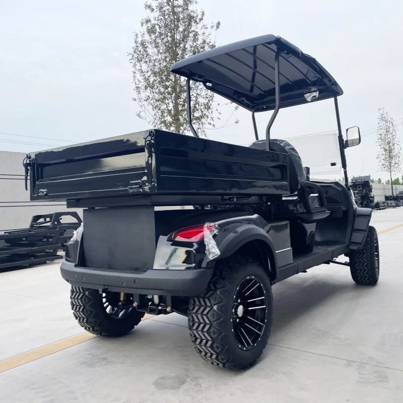 Electric 72V Lithium Electric Golf Cart Off Road Cargo Golf Cart Black Upholstered Seat Off-Road Tires Rear Cargo Box Bumper