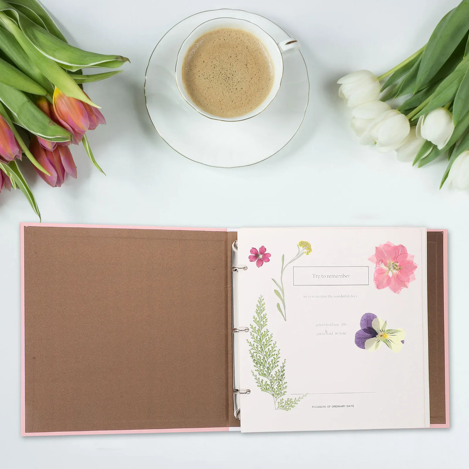 

Dried Flower Storage Album Pressed Flower Specimen Holder Easy to Use Portable Plant Collection Book for Adults DIY