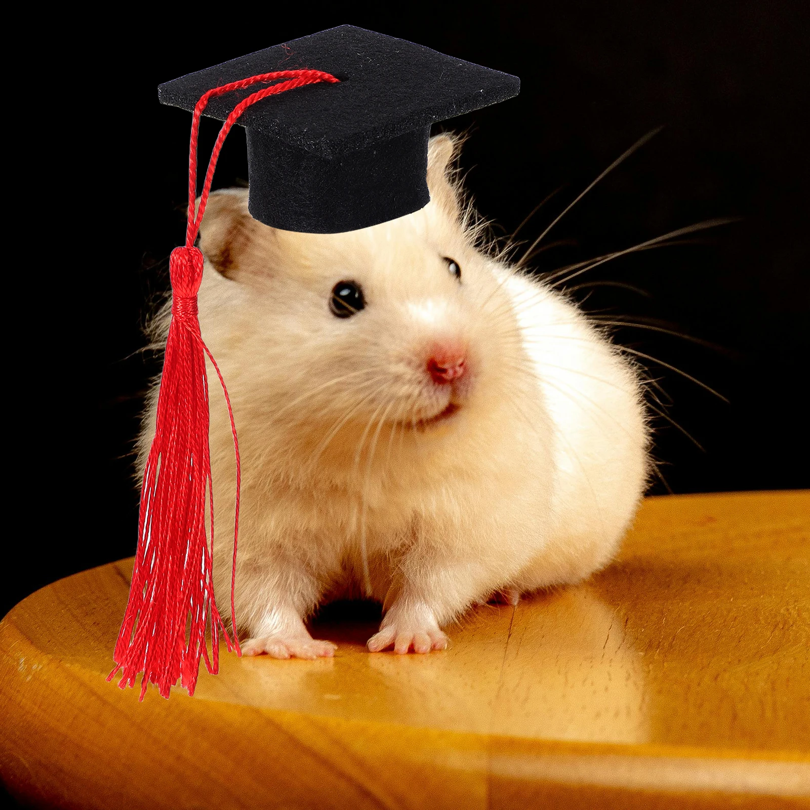 

Hamster Graduation Cap Tassel Cute Pet Graduation Caps Small Animal Costume Decorative Bachelor Hats Guinea Pig Cat Puppy Photo