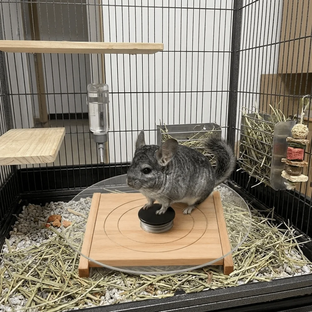 Glass Hamster Running Wheel Long-Lasting Silent Chinchilla Running Plate Stable with Wood Base Small Animal Health Runner Rats