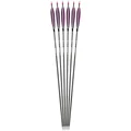 6pcs Purple
