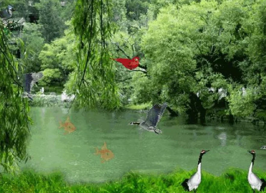 

Flywoo GOKU F405 HD 1-2S 12A ELRS AIO V2 - Plug&Play for Micro FPV Drones with O4 / O4 PRO