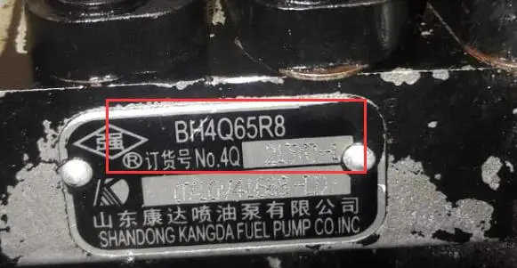 Бесплатная доставка, 4 шт., плунжер для BH4Q65R8 213YC-1, топливный насос, инжекторный насос, костюм для Laidong Changchai Kangda