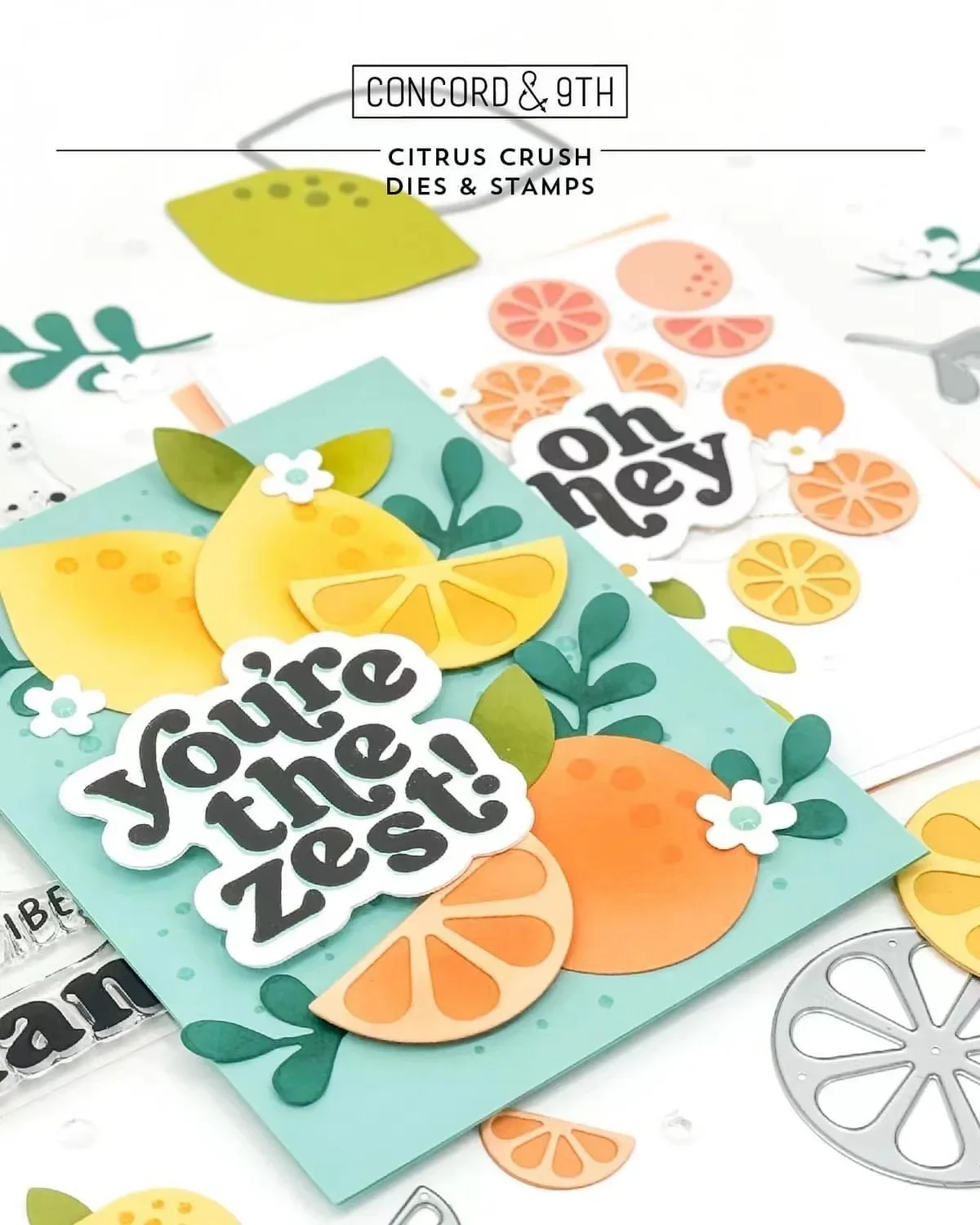 Citrus Crush Twist Turnabout Clear Stamps and Metal Cutting Dies Sets For DIY Craft Making Lace Greeting Card Scrapbooking Album