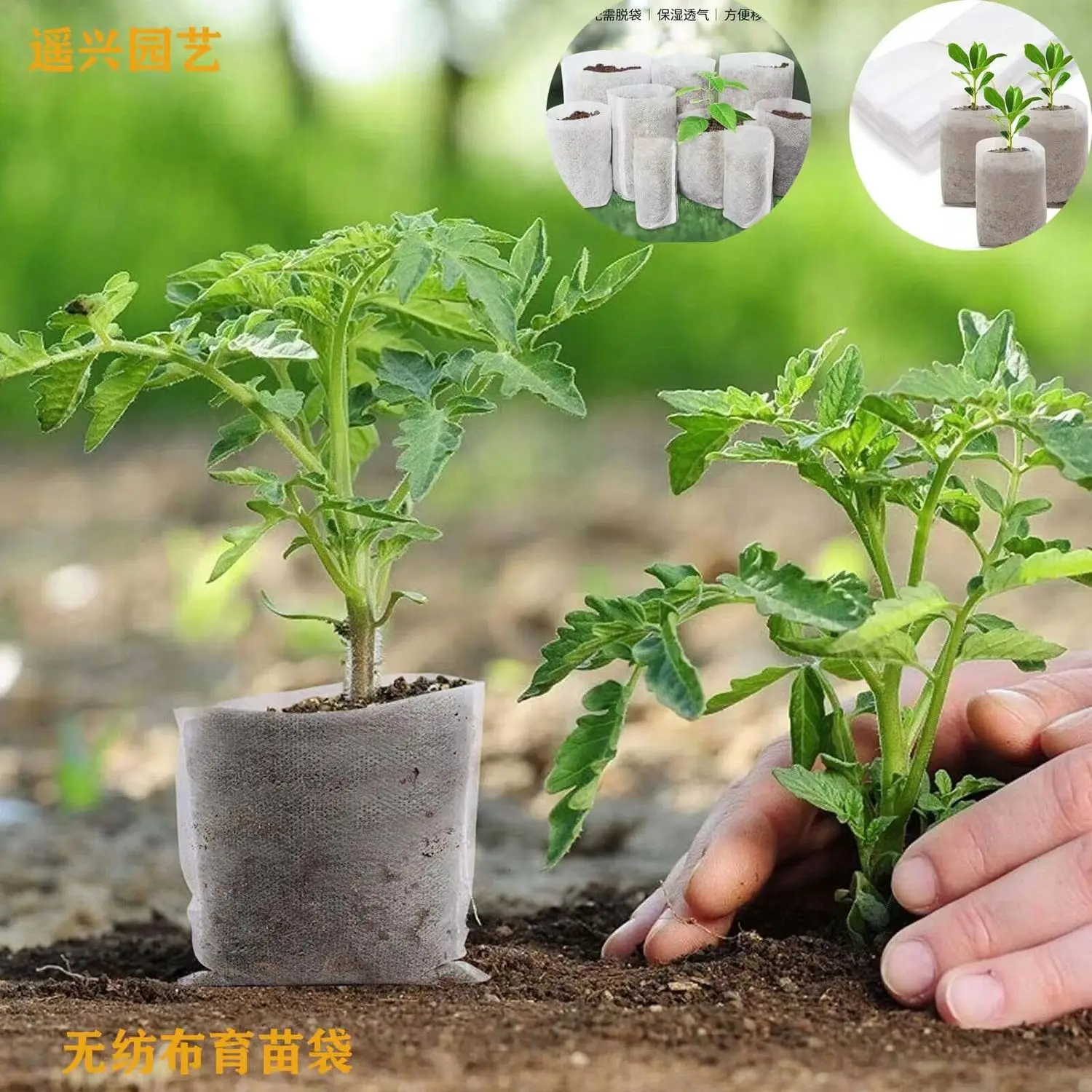 

Disposable Nutrition Bag Thickened Corn and Vegetable Breeding Special Nutrition Bowl No Need To Take Off The Bag