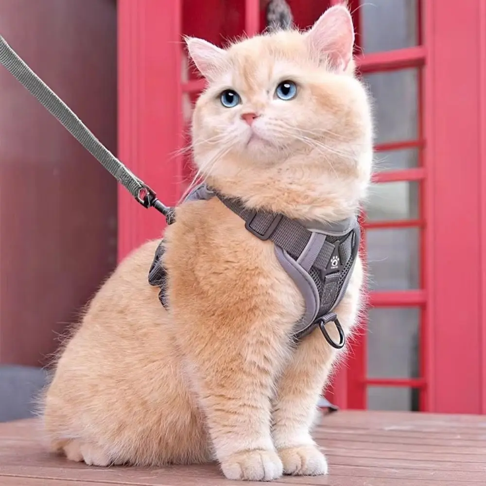 Reflective Trim Cat Harness Leash Vest Style Universal Cat Harness Leash Set Breathable Anti-Shake Adjustable Cat Harness