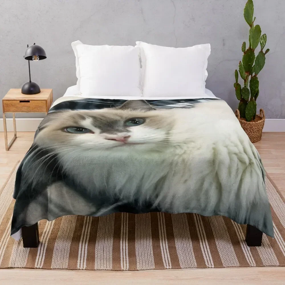

Ragdoll Cat Beauty Throw Blanket Soft Warm Blanket Gift for Grandparents