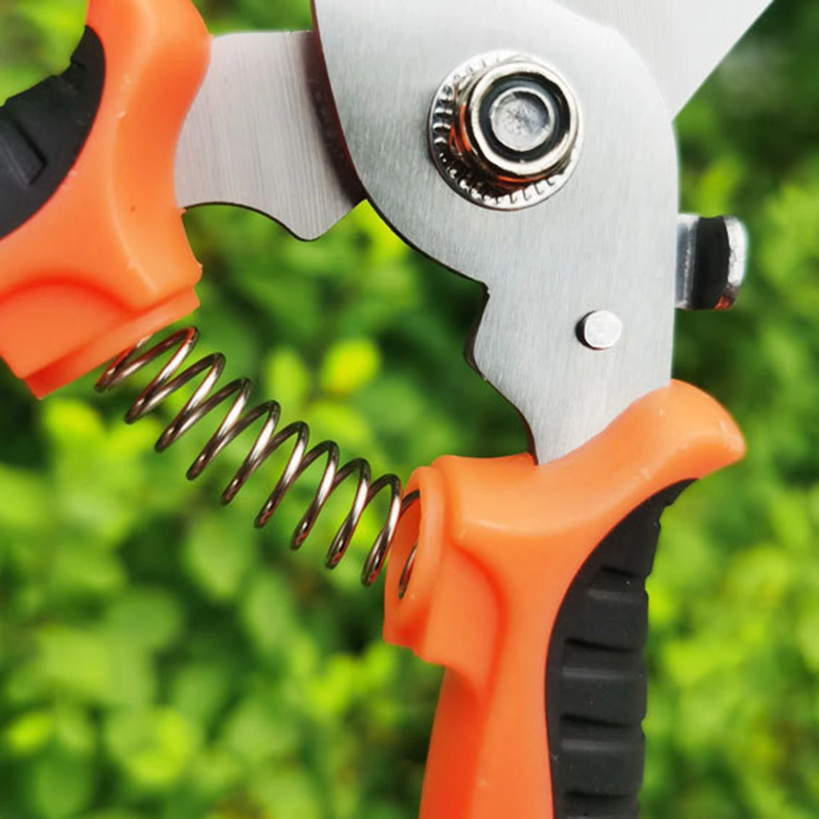 Imagem -04 - Professional Garden Pruner Scissors Sharp Bypass Poda Shears Tree Trimmers Secateurs Hand Clippers para Garden Beak Scissors