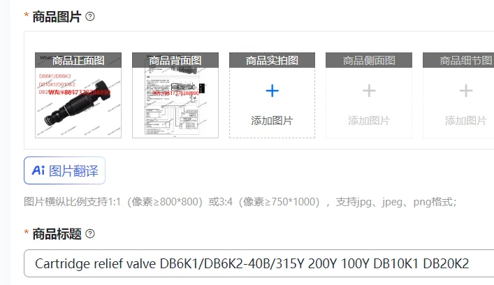 soupape-de-decharge-a-cartouche-db6k1-db6k2-40b-315y-200y-100y-db10k1-db20k2
