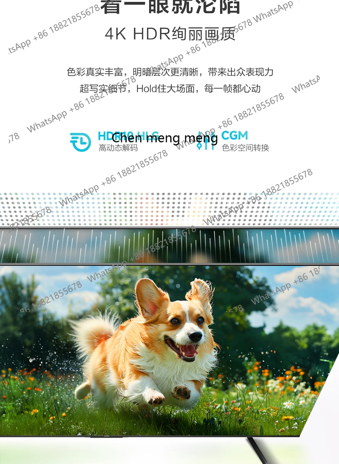 Zhijia 65 بوصة تلفزيون كسول عالي الفرشاة LCD للمنزل