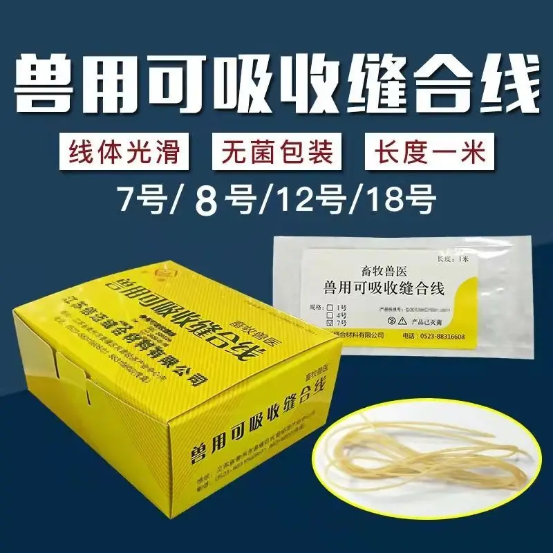 Absorbable Suture For Veterinary Use Animal Husbandry Line Non-dismantling Sheep Gut Line Pig Cattle Sheep Horse Veterinary Sutu
