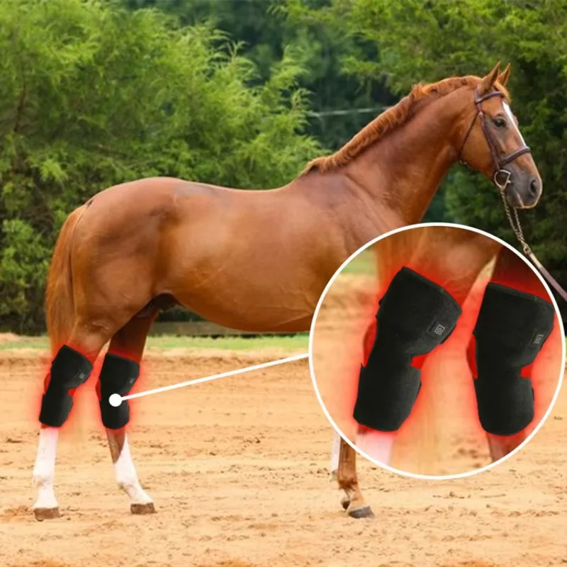 660nm 850nm Near Infrared Equine Knee & Hock Red Light Therapy Wrap