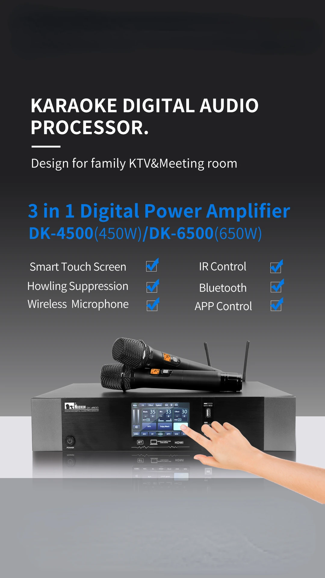 Karaoke multiple function power amplifier