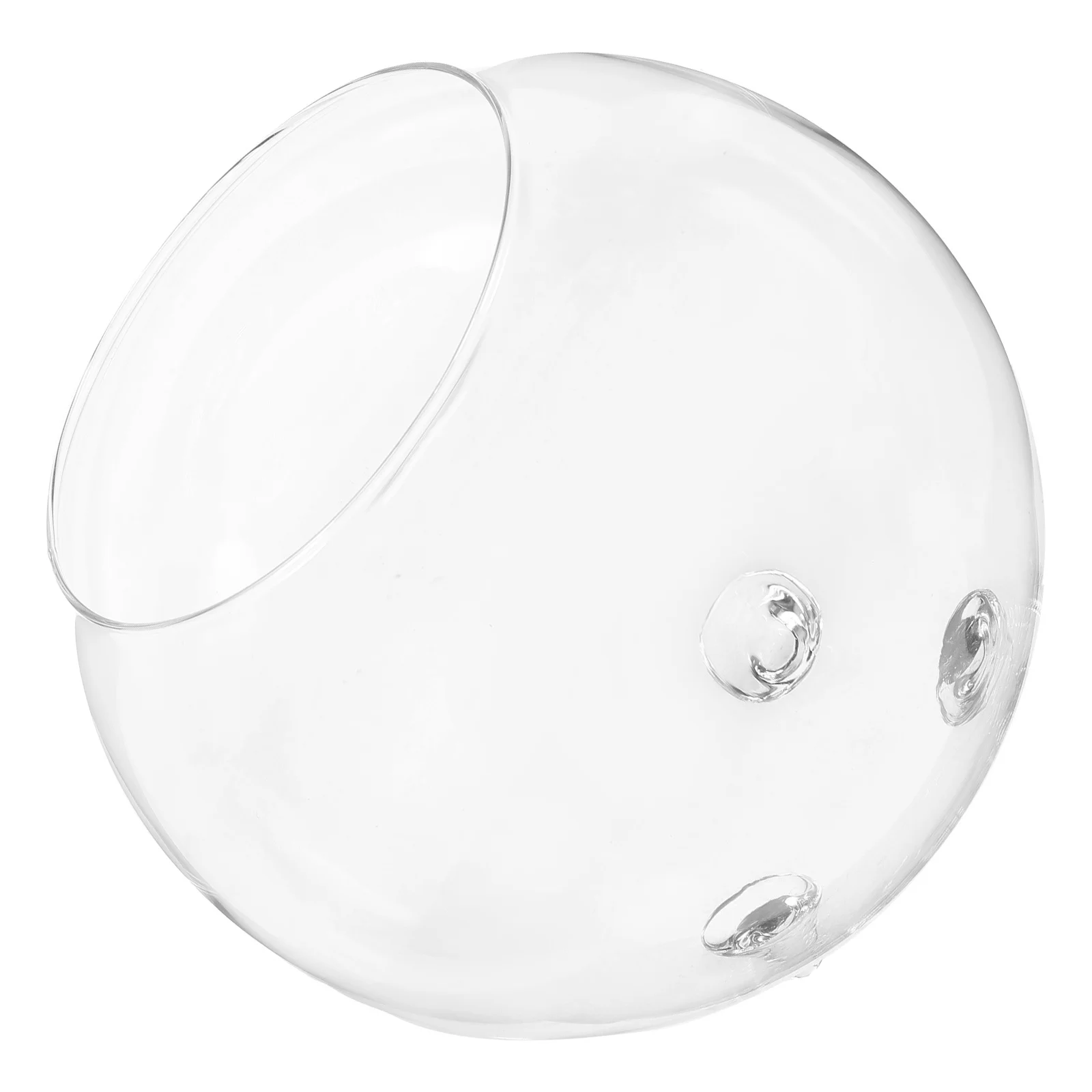 

Premium Glass Vase Modern Chic Design for Fresh Flowers Greenery Silk Floral Arrangements Hydroponic Container Home Decor