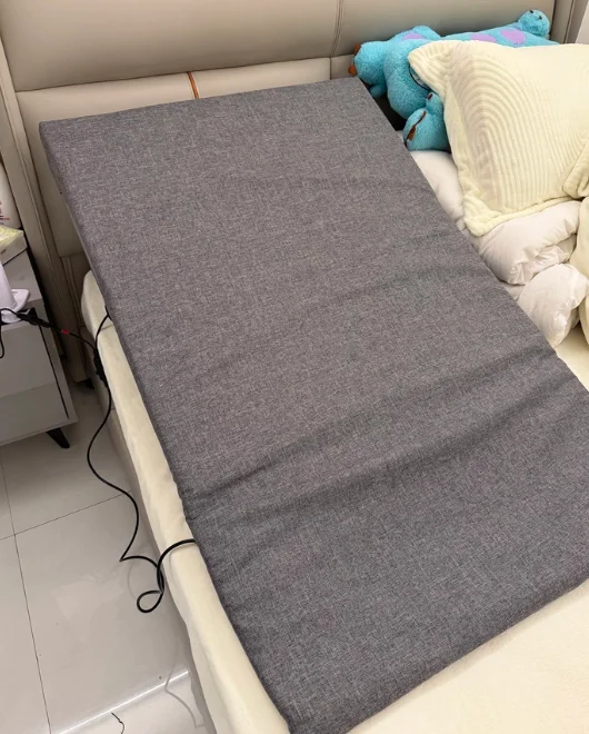 Smart Electric Adjustable Bed Stand Assist Recliner Heavy Duty Hand Movement Home Care Hospital Bedroom Furniture