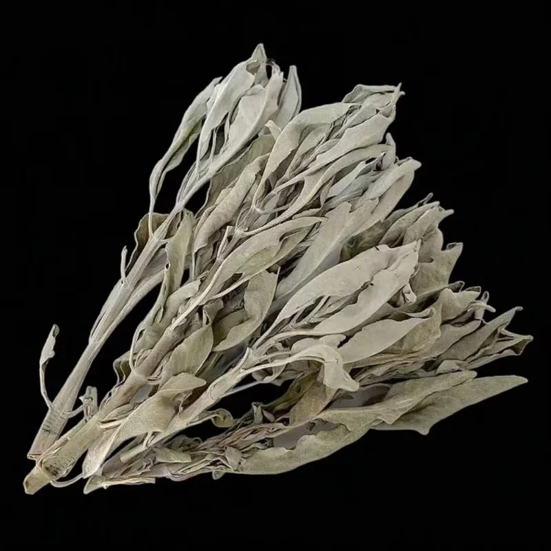 Natural White Sage Leaf - Smoky Smudging for Yoga, Home Cleansing, Healing & Meditation | Aromatherapy for Energy Clearing