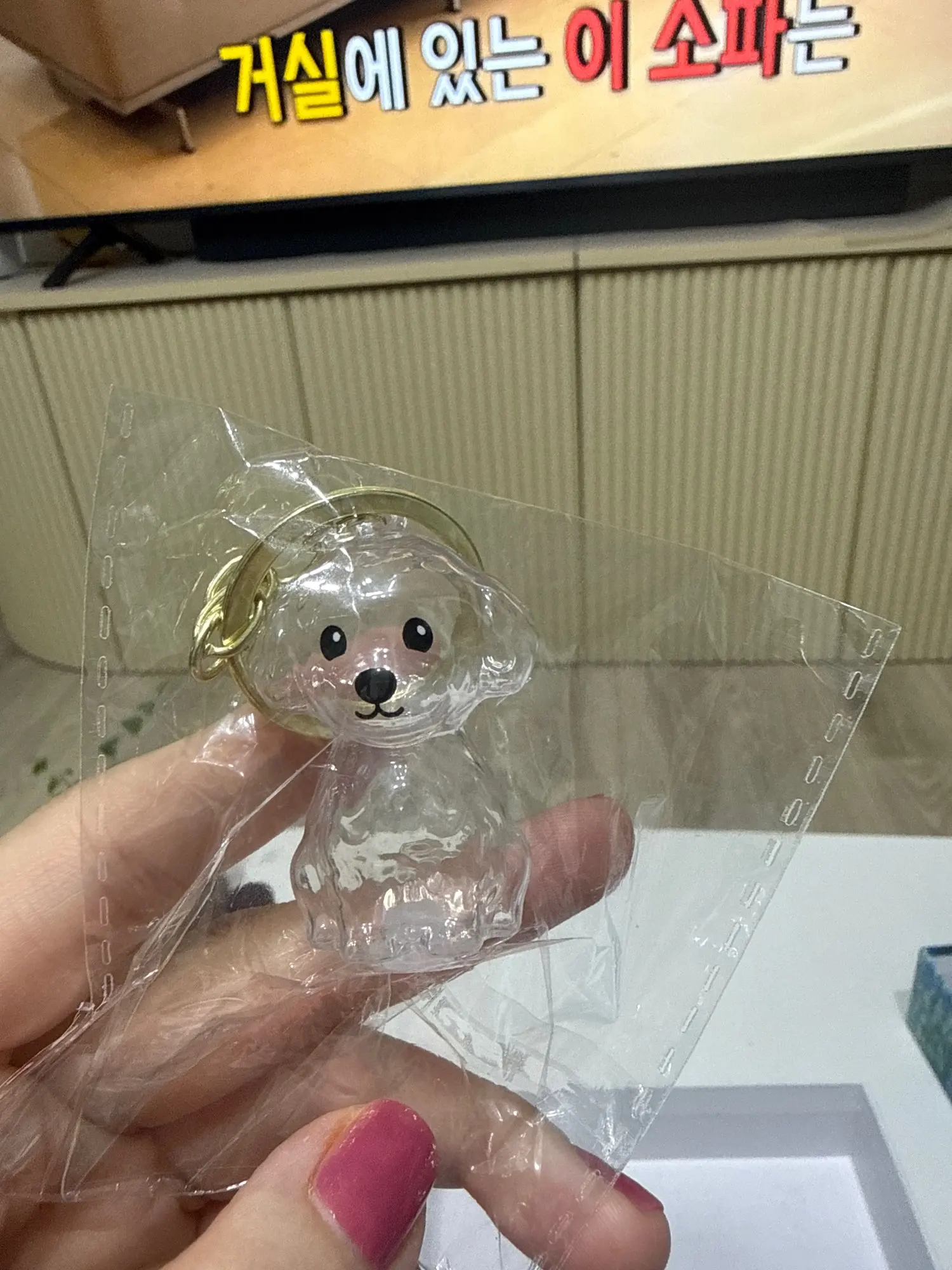 실물 포토 리뷰