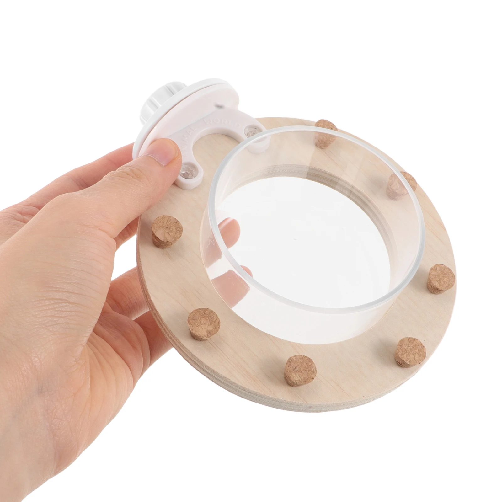 

1pcs Parrot Feeder Easy Clean Water Bowl Cage Food Container Transparent Antispill Suitable Various Species Secure Installation