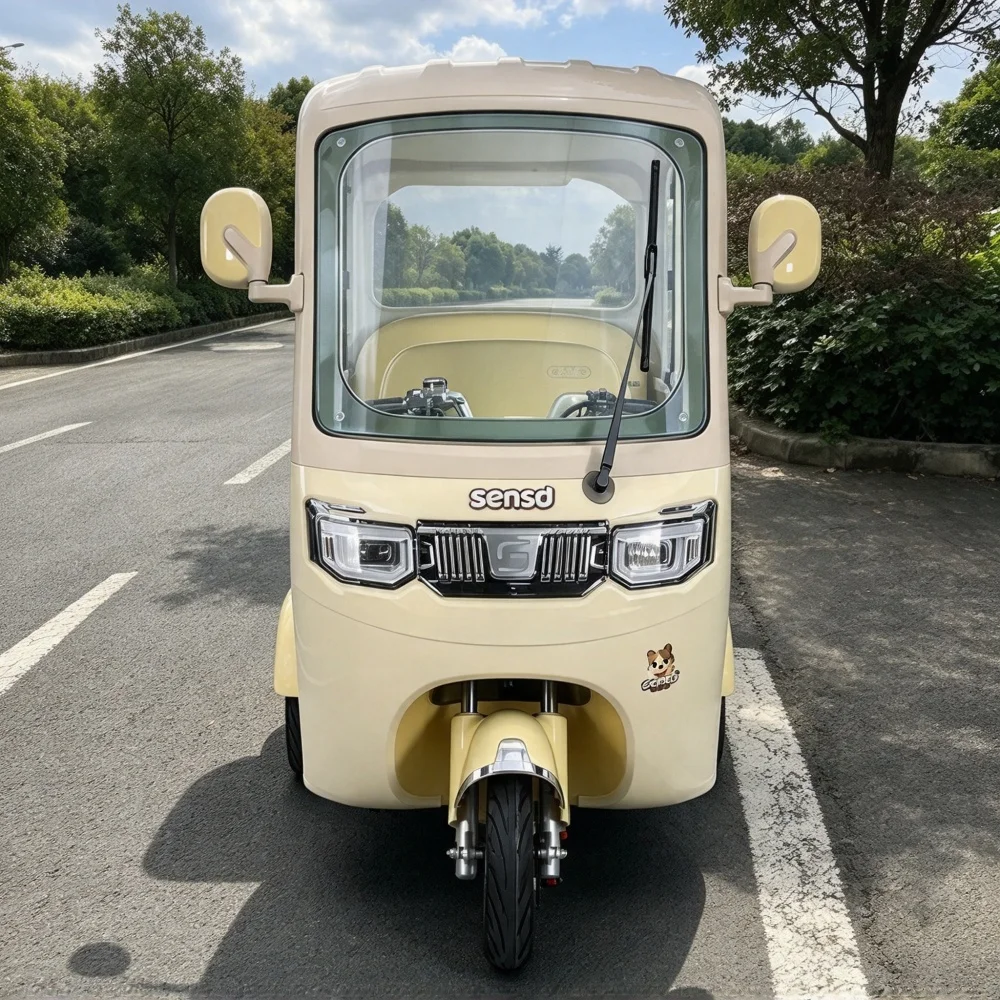 Factory Direct Special Offer Elderly & Adult Leisure Electric Tricycles Closed Body for Pick-Drop Children Cargo Use