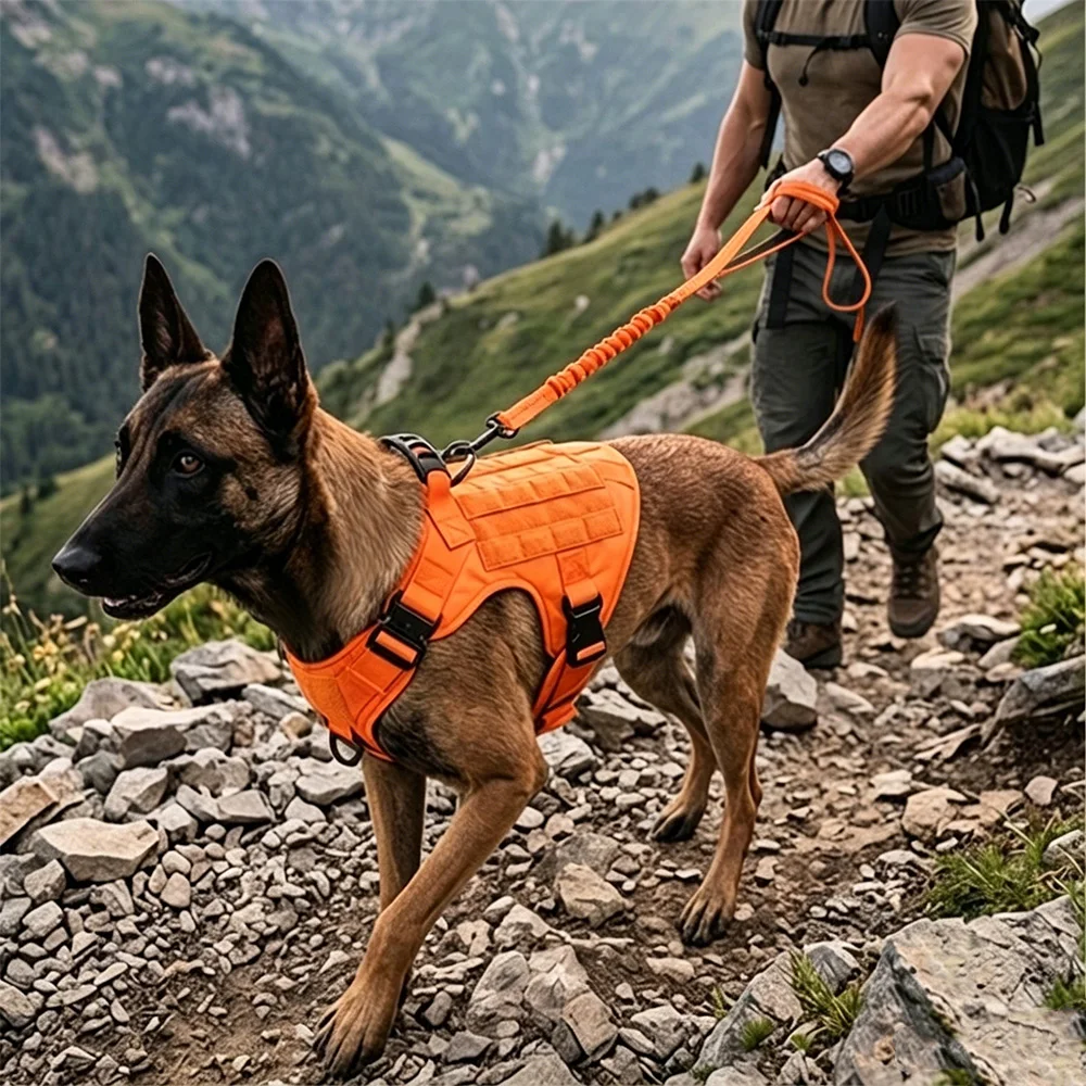 Arnés antitirones naranja para perro con correa elástica bungee - imagen 5