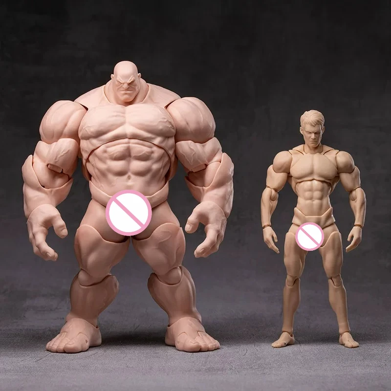 Vorverkauf: 1/12 Maßstab Windspielzeug, starke, super bewegliche männliche Körperpuppen mit austauschbarem Kopf, Sammler-Actionfiguren-Modell