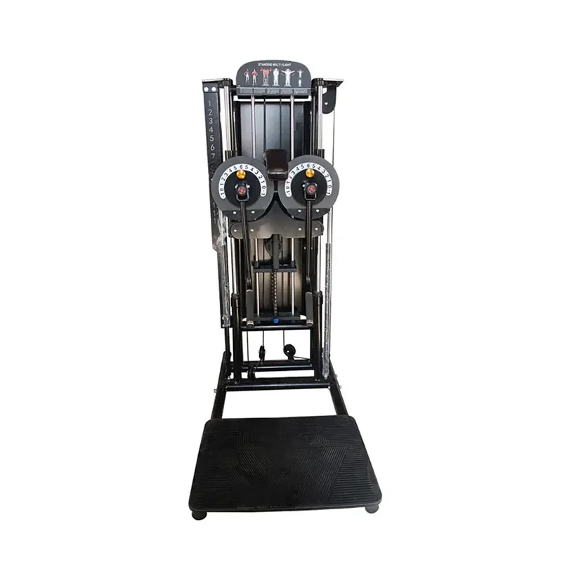 

Multifunctional Standing Lateral Raise Machine, Double-arm Side Raise Training Device, Gym Commercial Side Arm Lift
