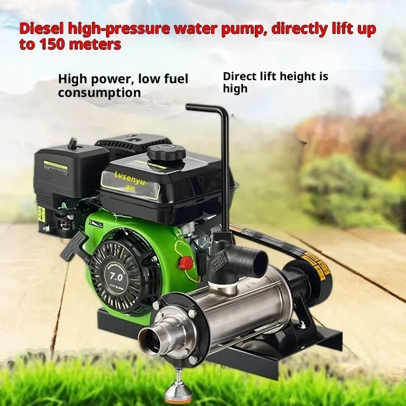 Electric Start Screw Pump Agricultural Irrigation System for Garden Fire Orchard Large Flow 1000 Zhejiang Origin