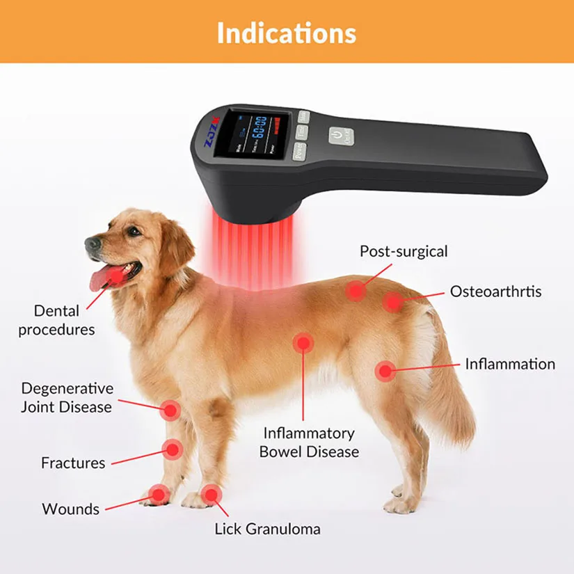 Dog hip laser therapy pain cats horse health care device for injury cure anti-inflammation tissue repair with 808nm 650nm 880mW