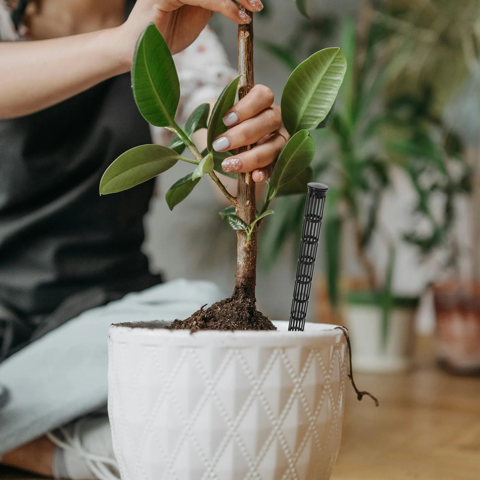30-pecas-tubos-de-ventilacao-de-solo-estacas-de-aeracao-de-raizes-de-plantas-estendidas-de-98-polegadas-estacas-de-drenagem-para-prevencao-de-apodrecimento-de-raizes-uso-interno-e-externo