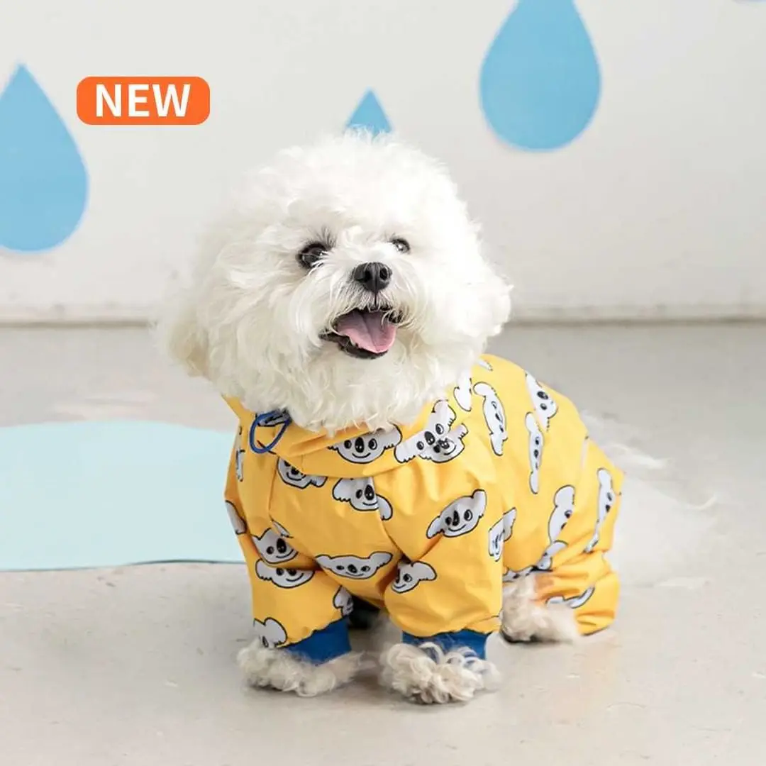 Poncho de Pluie Imperméable pour Chien de Taille Moyenne, Petit Gabarit à Quatre Pattes, Teddy Bichon