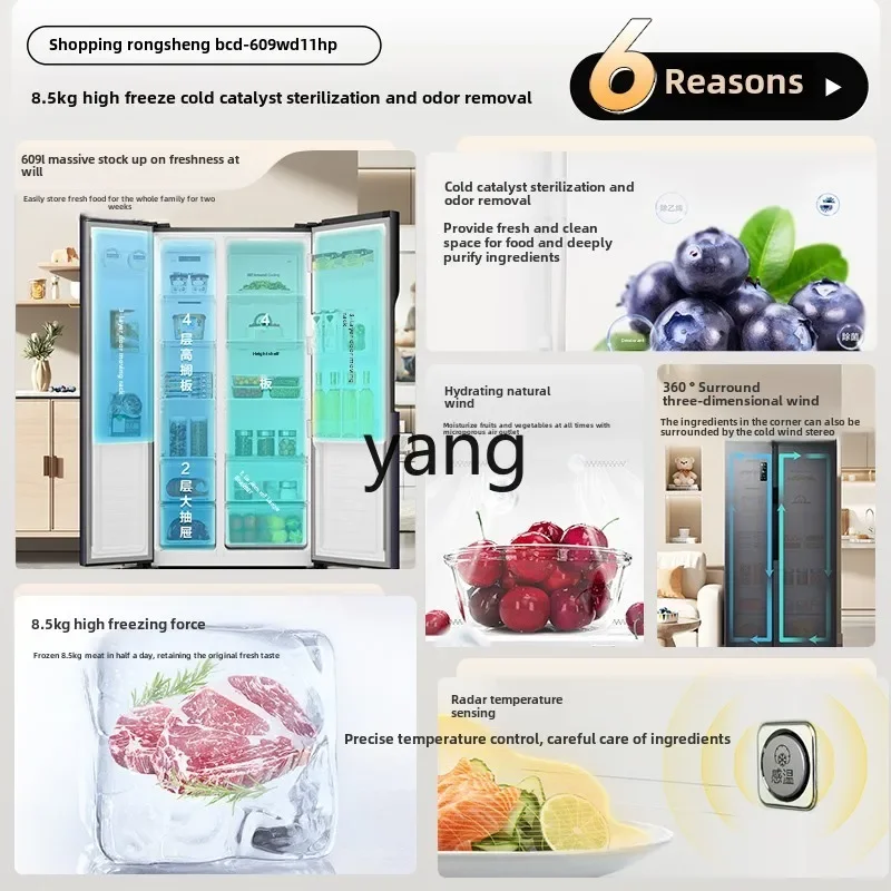 CX 609L ion net taste folio double door large capacity air cooling household first-class frequency conversion ultra-thin