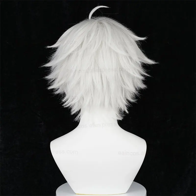 Anime Seishiro Stationary i Cosplay Perruque, Perruques Courtes Blanches Argentées, Degré de Chaleur, Cheveux Synthétiques, 30cm