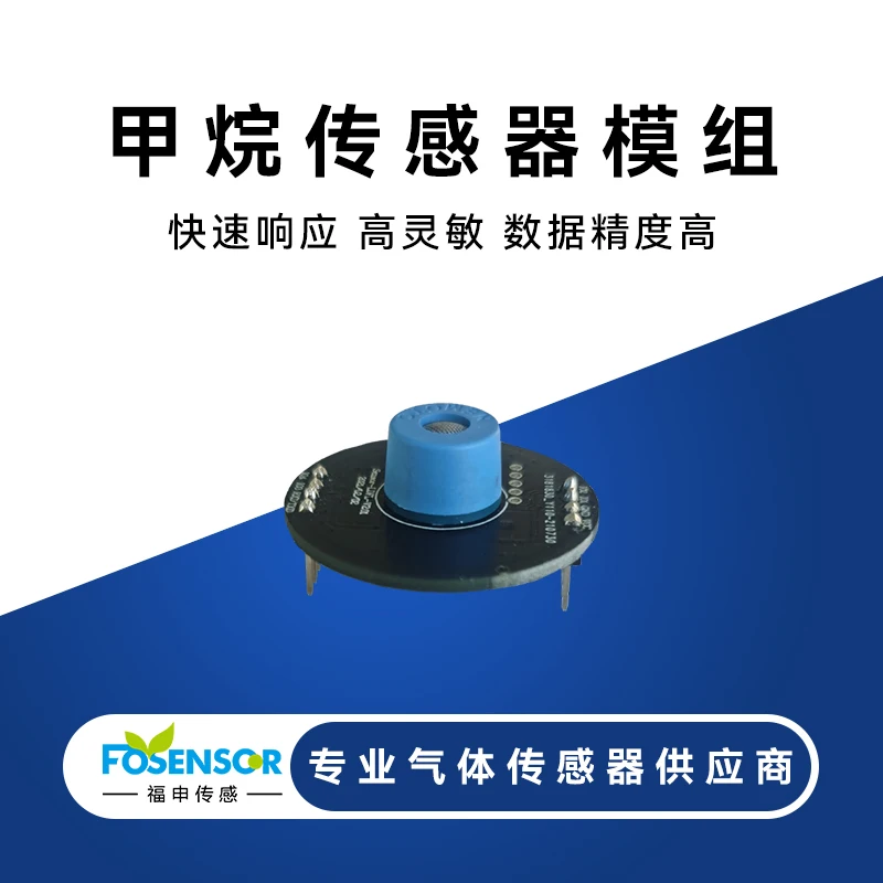 

FS01201 Methane Sensor Combustible Gas Leakage Monitoring High Precision CH4 Online Detection