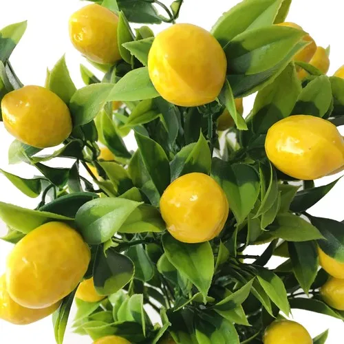 Gift Showcase Metal Plant Pot Artificial Lemon Tree 45 cm Size Decorative Gift