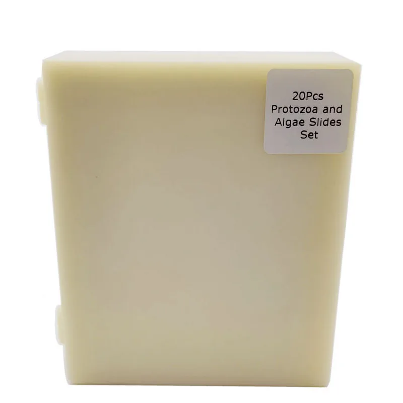 20Pcs Protozoa and Algae Microscope Education Prepared Slides Set