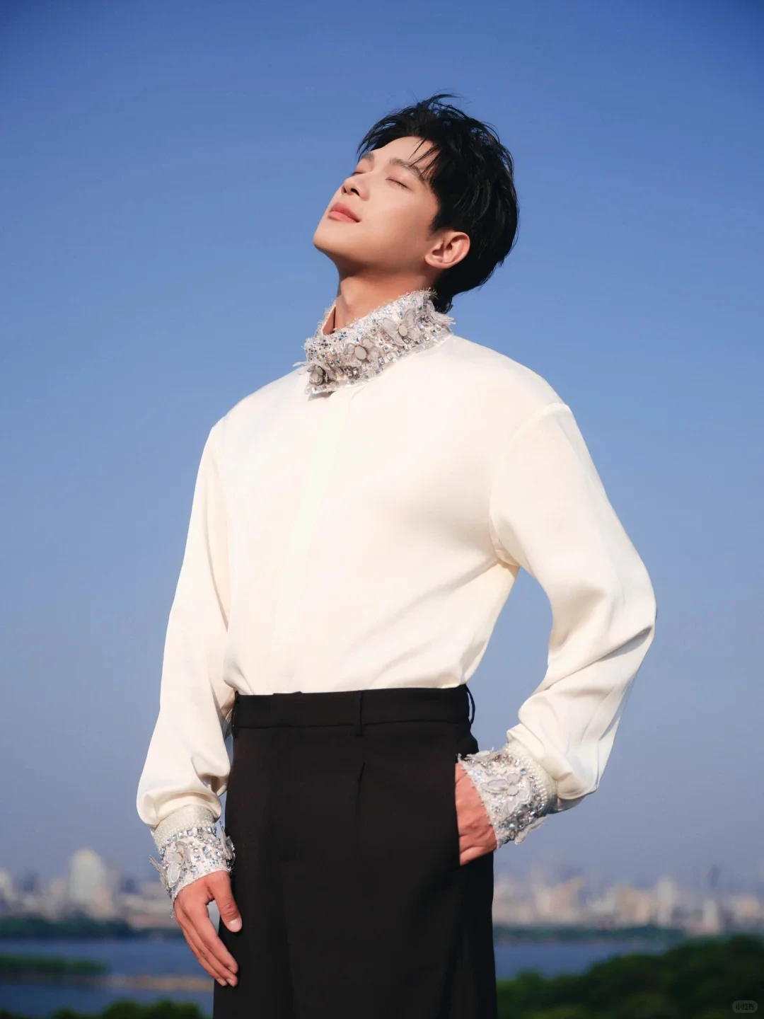 Fashion Stand Collar Shirts Men 2025 Autumn New Handmade Butterfly Diamond Design Tops Handsome Elegant Light Luxury Chic Shirts