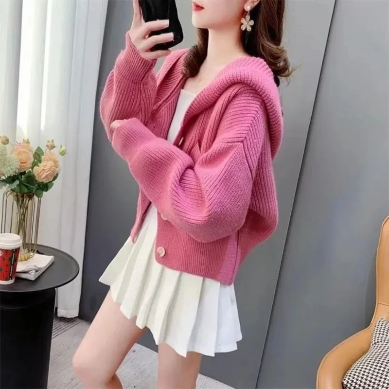 

Женский вязаный свитер с капюшоном 2026 Трендовая мода Горячий корейский молодежный стиль Y2k Вязаный крючком верхняя одежда для работы Свободный кардиган для женщин