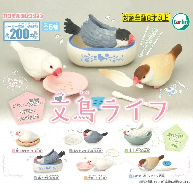 

TARLIN Original Japan Gashapon Figure Anime Kawaii Bird's Daily Routine Sparrow Miniature Gacha Figurine Cute Capsule Toy