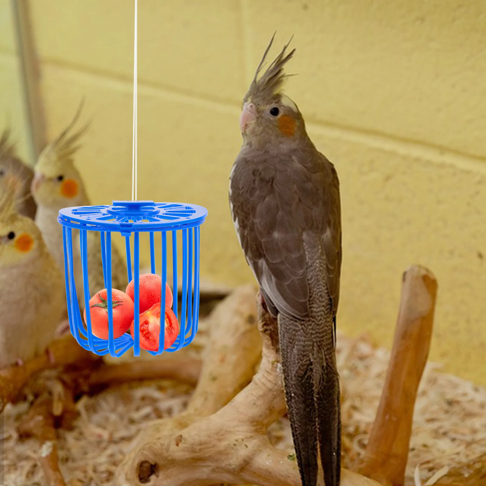 10 buah Hummingbird pengumpan buah dan sayuran keranjang kandang Cockatiel burung beo berongga aksesoris parkit gantung