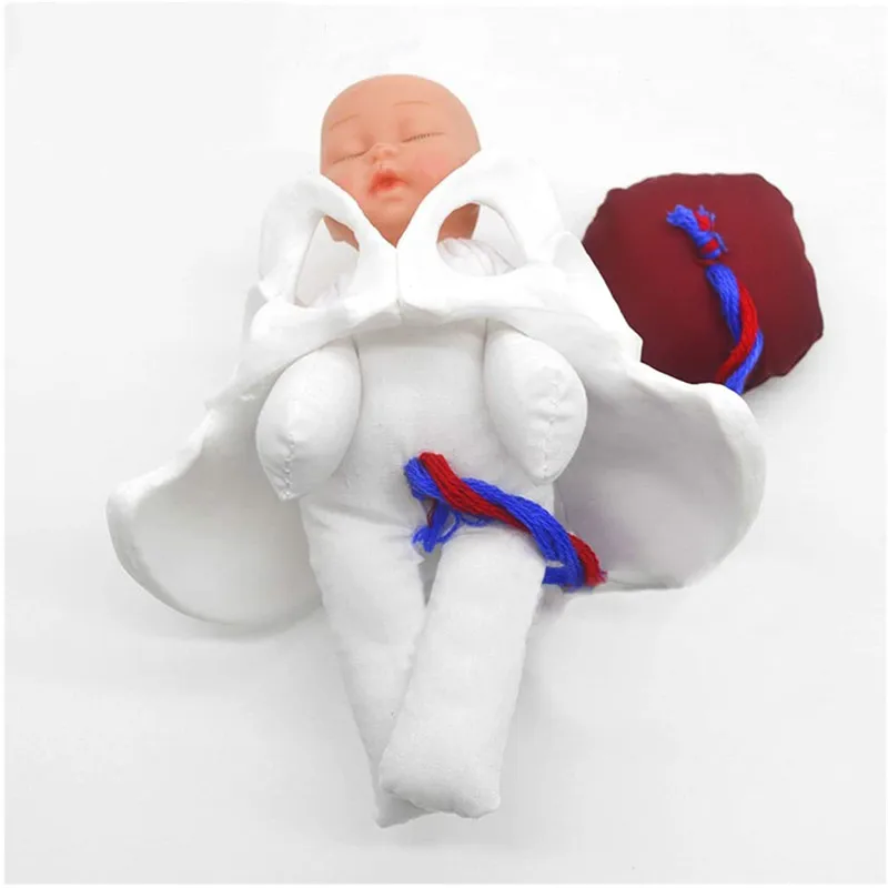 Female Human Childbirth Pelvis Demonstration -Fetus Umbilical Cord Placenta Teaching Anatomy Model Drop Shipping Life Size