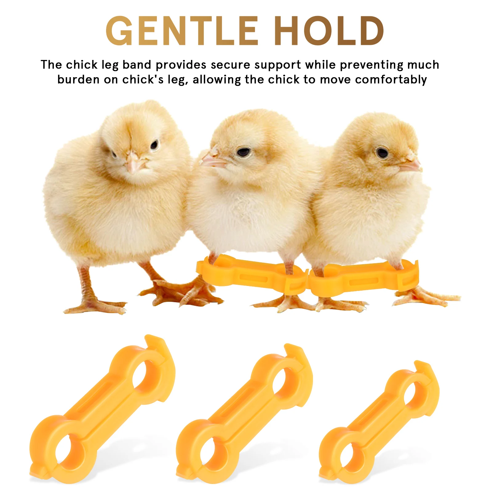 

12Pcs Chick Leg Stabilizer Bird Corrector Chicken Leg Band Ring Supplies For Your Chickens Brace Pet Pvc Bands Foot Birds Baby