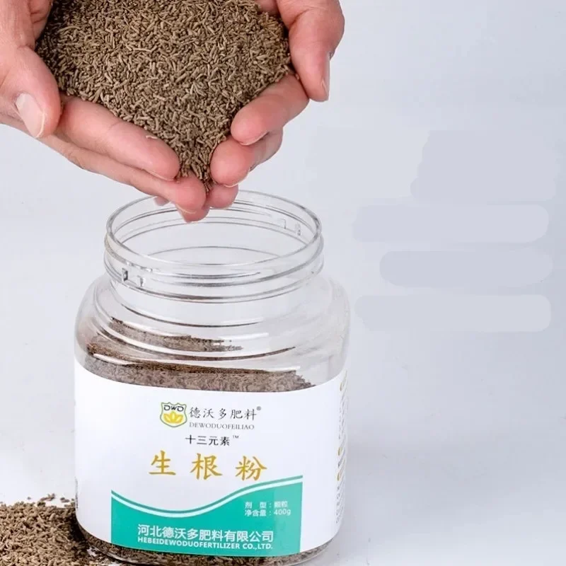 400 جرام غيبكربور تربية نباتية بونساي هورمونيا #3