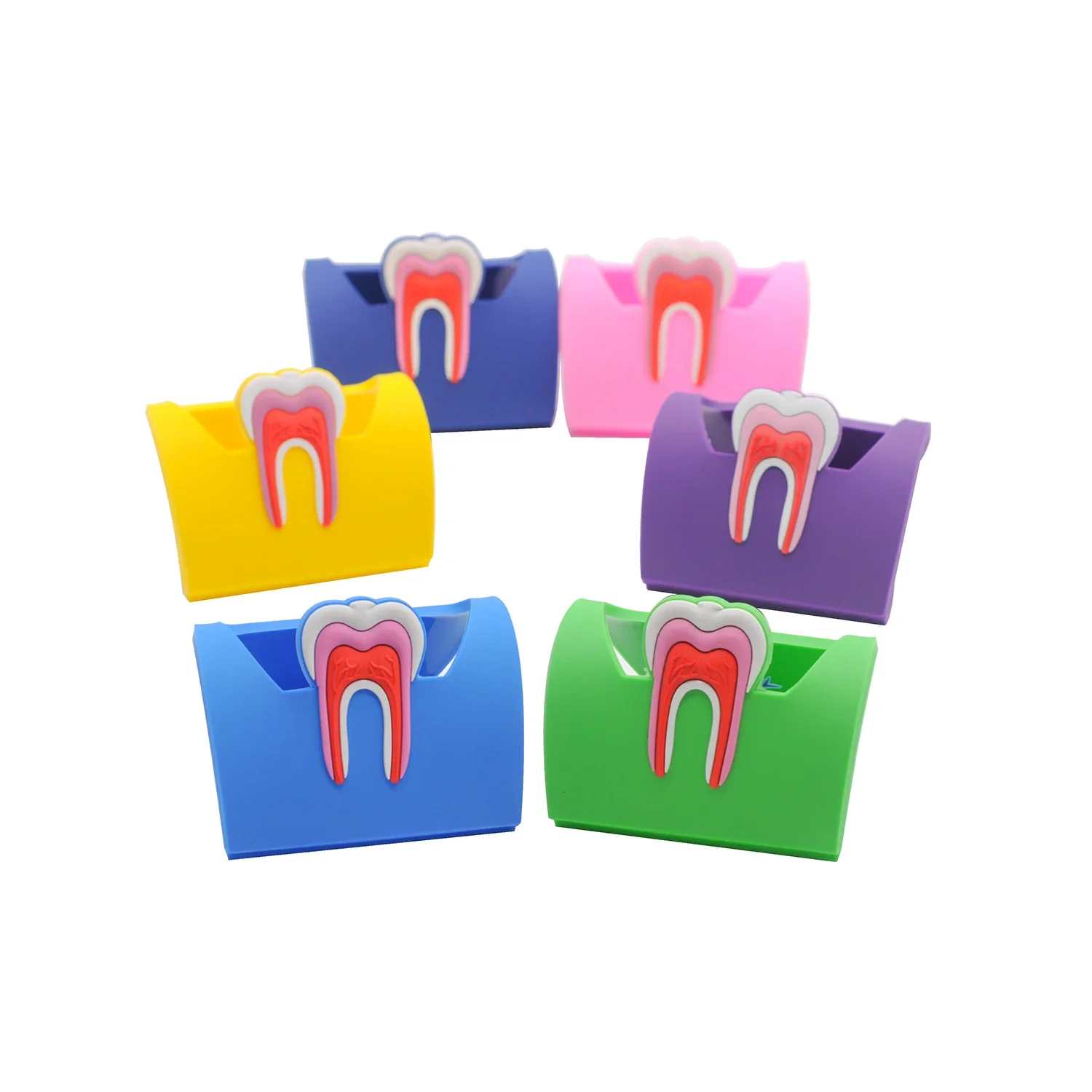 Rubber Molar Shaped Name Card Holder Case in 6 Colors for Dental Office Gift